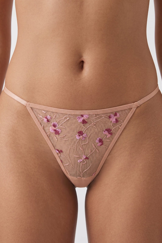 STRINGI FLORA